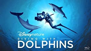 Diving With Dolphins
